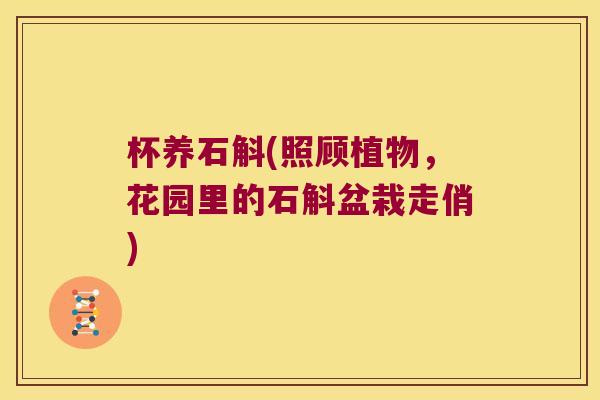 杯养石斛(照顾植物，花园里的石斛盆栽走俏)