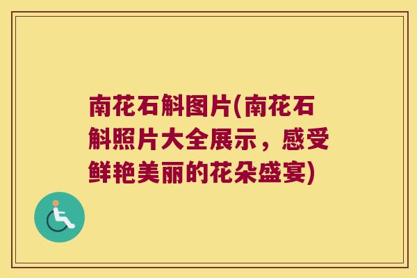 南花石斛图片(南花石斛照片大全展示，感受鲜艳美丽的花朵盛宴)