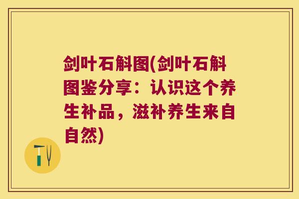 剑叶石斛图(剑叶石斛图鉴分享：认识这个养生补品，滋补养生来自自然)