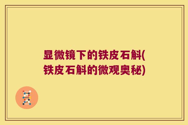显微镜下的铁皮石斛(铁皮石斛的微观奥秘) 显微镜下的铁皮石斛(铁皮石斛的微观奥秘)