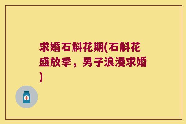 求婚石斛花期(石斛花盛放季，男子浪漫求婚)