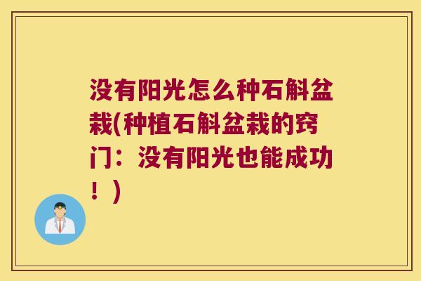 没有阳光怎么种石斛盆栽(种植石斛盆栽的窍门：没有阳光也能成功！)