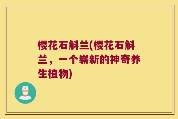 樱花石斛兰(樱花石斛兰，一个崭新的神奇养生植物)