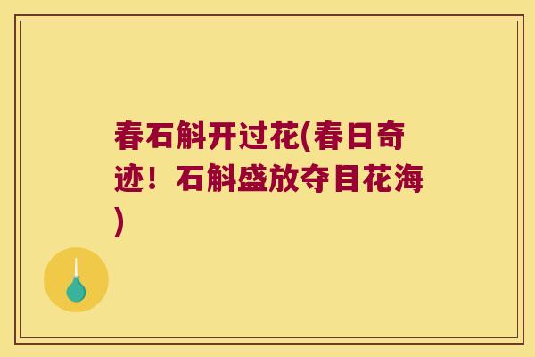 春石斛开过花(春日奇迹！石斛盛放夺目花海)