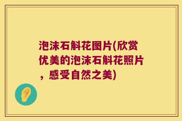 泡沫石斛花图片(欣赏优美的泡沫石斛花照片，感受自然之美)