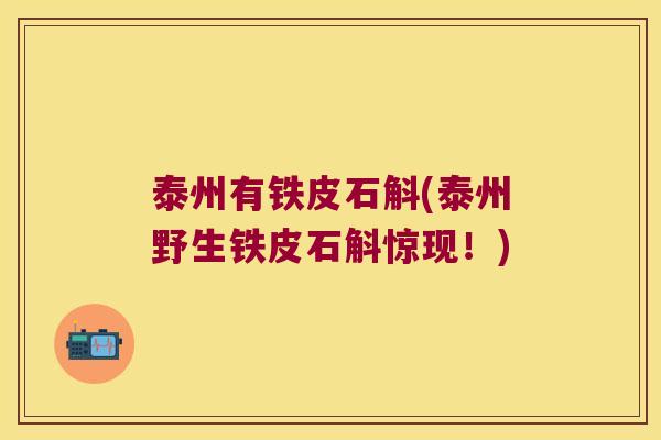泰州有铁皮石斛(泰州野生铁皮石斛惊现！)