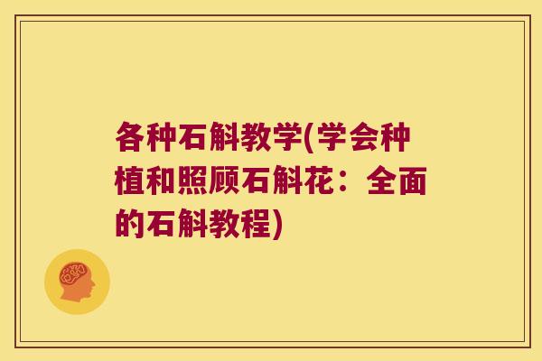 各种石斛教学(学会种植和照顾石斛花：全面的石斛教程)