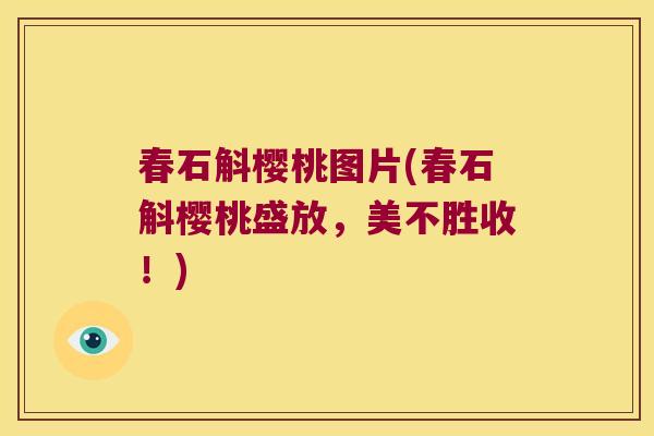 春石斛樱桃图片(春石斛樱桃盛放，美不胜收！)