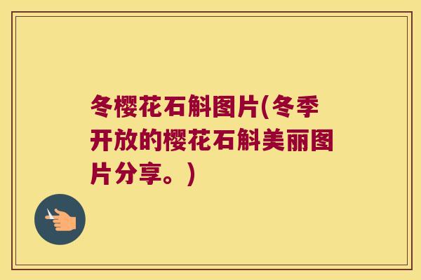 冬樱花石斛图片(冬季开放的樱花石斛美丽图片分享。)