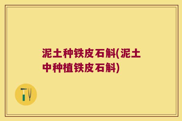 泥土种铁皮石斛(泥土中种植铁皮石斛)