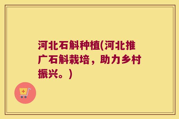 河北石斛种植(河北推广石斛栽培，助力乡村振兴。)