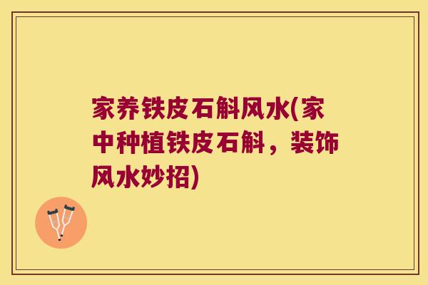 家养铁皮石斛风水(家中种植铁皮石斛，装饰风水妙招)