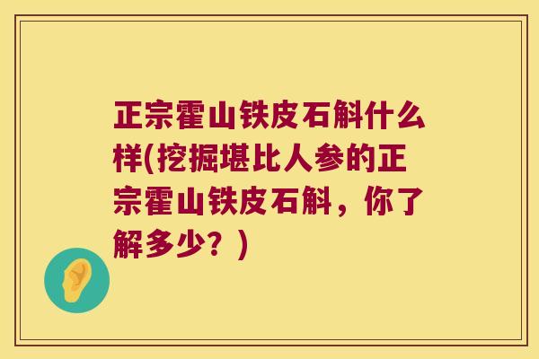 正宗霍山铁皮石斛什么样(挖掘堪比人参的正宗霍山铁皮石斛，你了解多少？)