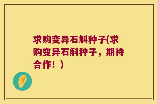 求购变异石斛种子(求购变异石斛种子，期待合作！)