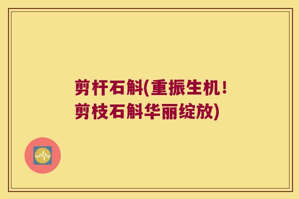 剪杆石斛(重振生机！剪枝石斛华丽绽放)