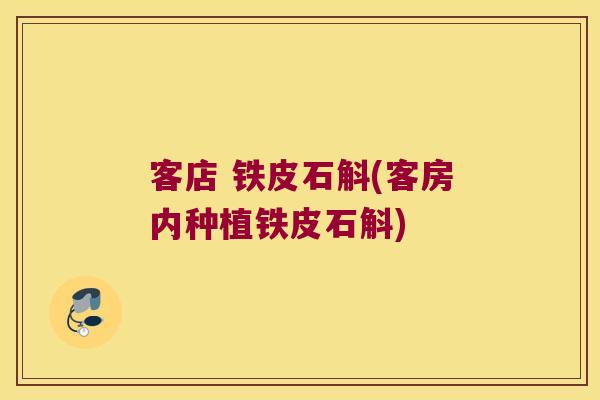 客店 铁皮石斛(客房内种植铁皮石斛)