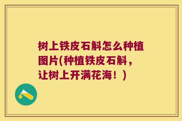 树上铁皮石斛怎么种植图片(种植铁皮石斛，让树上开满花海！)