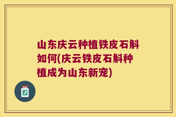 山东庆云种植铁皮石斛如何(庆云铁皮石斛种植成为山东新宠)