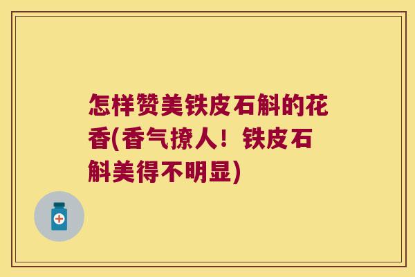 怎样赞美铁皮石斛的花香(香气撩人！铁皮石斛美得不明显)