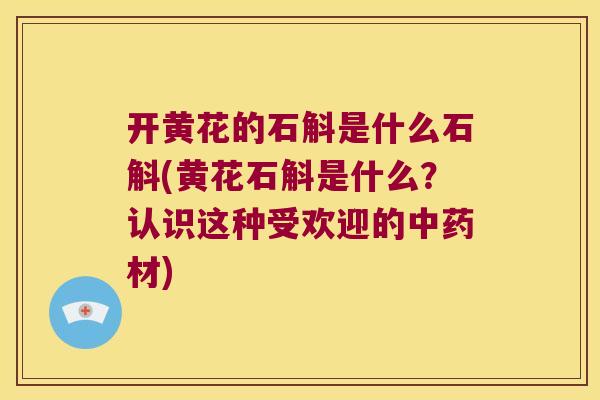 开黄花的石斛是什么石斛(黄花石斛是什么？认识这种受欢迎的材)
