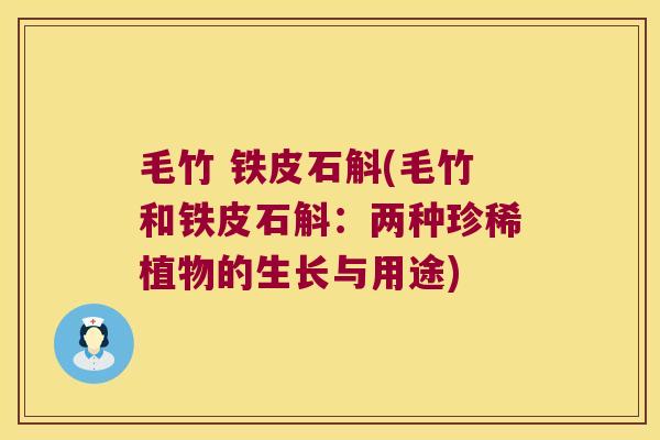 毛竹 铁皮石斛(毛竹和铁皮石斛：两种珍稀植物的生长与用途)