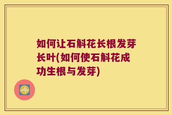 如何让石斛花长根发芽长叶(如何使石斛花成功生根与发芽)