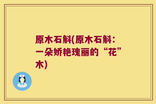 原木石斛(原木石斛：一朵娇艳瑰丽的“花”木)