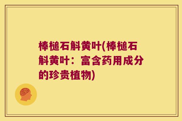 棒槌石斛黄叶(棒槌石斛黄叶:富含药用成分的珍贵植物) 棒槌石斛黄叶(棒槌石斛黄叶:富含药用成分的珍贵植物)