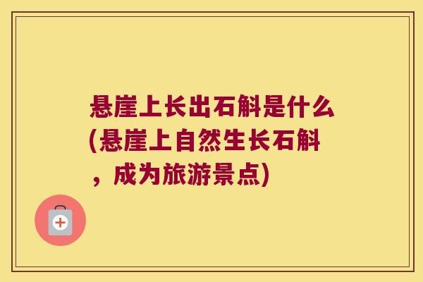 悬崖上长出石斛是什么(悬崖上自然生长石斛，成为旅游景点)