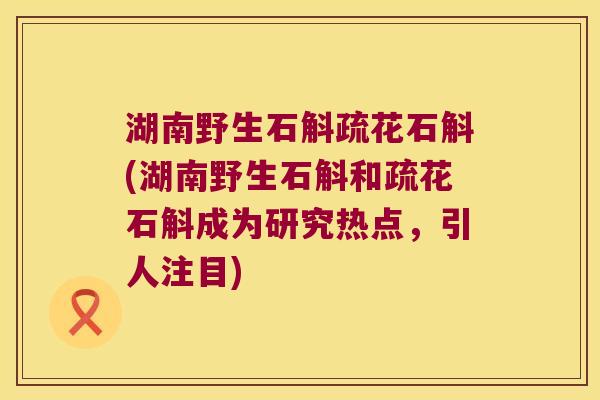 湖南野生石斛疏花石斛(湖南野生石斛和疏花石斛成为研究热点，引人注目)