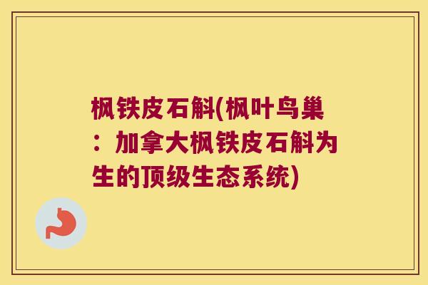 枫铁皮石斛(枫叶鸟巢:加拿大枫铁皮石斛为生的生态系统) 枫铁皮石斛(枫叶鸟巢:加拿大枫铁皮石斛为生的生态系统)