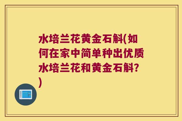 水培兰花黄金石斛(如何在家中简单种出优质水培兰花和黄金石斛？)