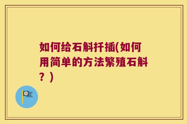 如何给石斛扦插(如何用简单的方法繁殖石斛？)
