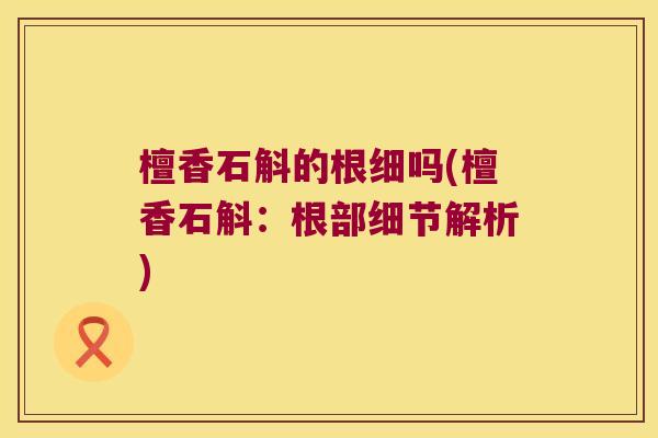檀香石斛的根细吗(檀香石斛：根部细节解析)