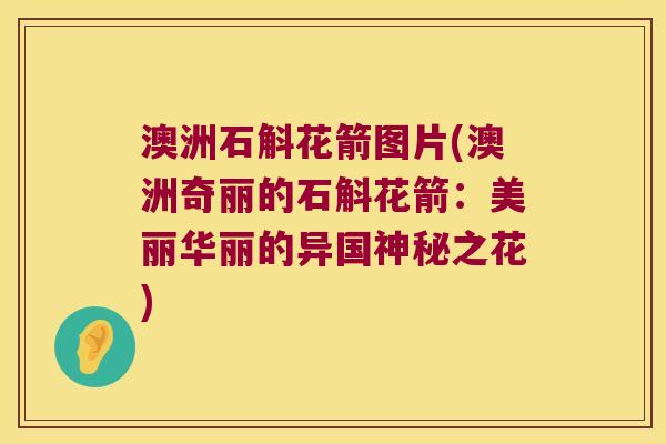 澳洲石斛花箭图片(澳洲奇丽的石斛花箭：美丽华丽的异国神秘之花)