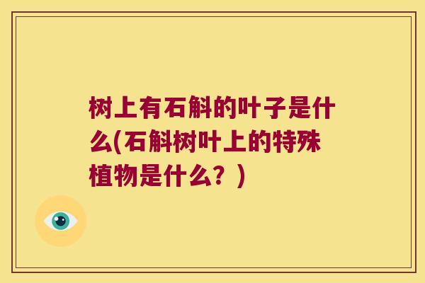 树上有石斛的叶子是什么(石斛树叶上的特殊植物是什么？)