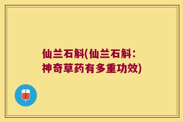 仙兰石斛(仙兰石斛：神奇草药有多重功效)