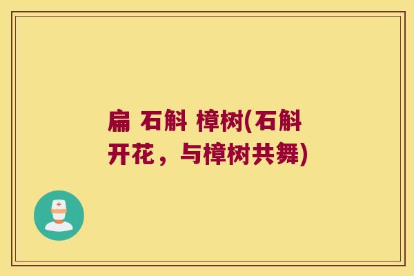 扁 石斛 樟树(石斛开花，与樟树共舞)