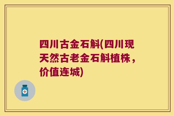 四川古金石斛(四川现天然古老金石斛植株，价值连城)