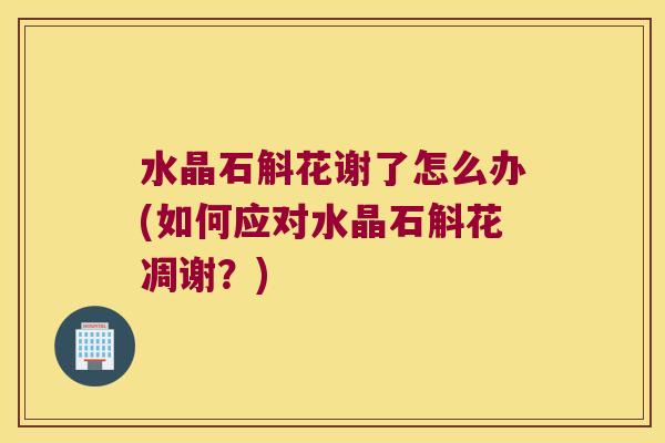 水晶石斛花谢了怎么办(如何应对水晶石斛花凋谢？)
