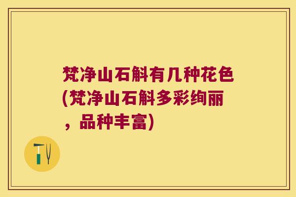 梵净山石斛有几种花色(梵净山石斛多彩绚丽，品种丰富)