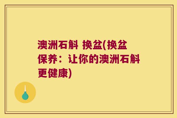 澳洲石斛 换盆(换盆保养：让你的澳洲石斛更健康)