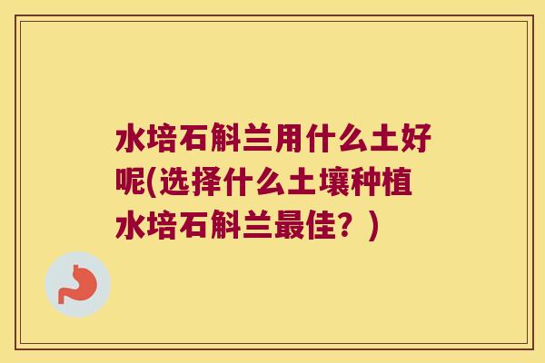 水培石斛兰用什么土好呢(选择什么土壤种植水培石斛兰佳?) 水培石斛兰用什么土好呢(选择什么土壤种植水培石斛兰佳?)