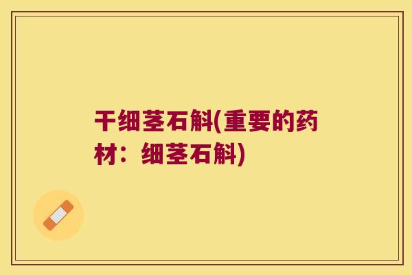 干细茎石斛(重要的药材：细茎石斛)