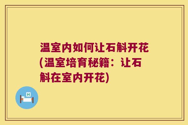 温室内如何让石斛开花(温室培育秘籍：让石斛在室内开花)