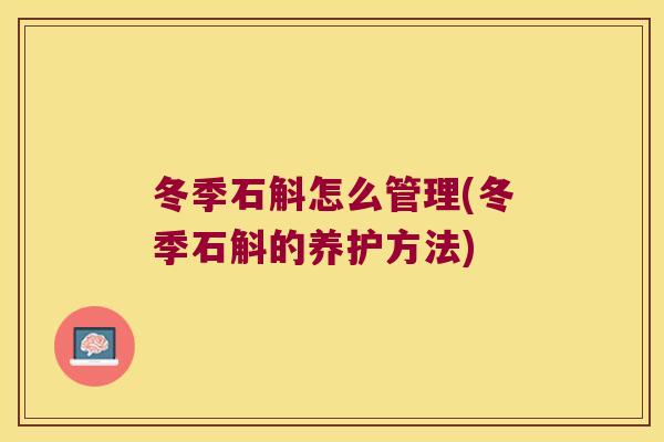 冬季石斛怎么管理(冬季石斛的养护方法)