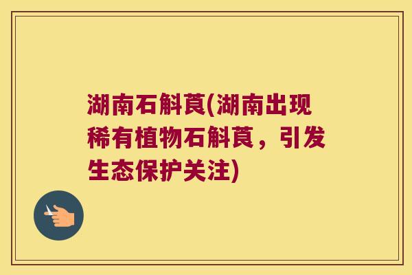 湖南石斛莨(湖南出现稀有植物石斛莨，引发生态保护关注)
