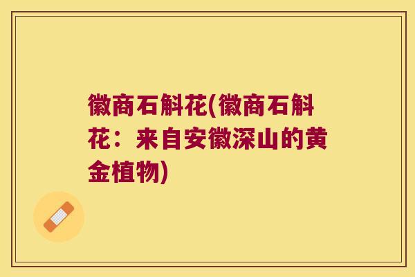 徽商石斛花(徽商石斛花：来自安徽深山的黄金植物)
