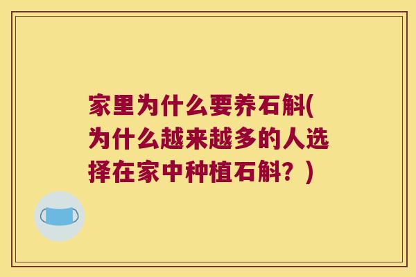家里为什么要养石斛(为什么越来越多的人选择在家中种植石斛？)