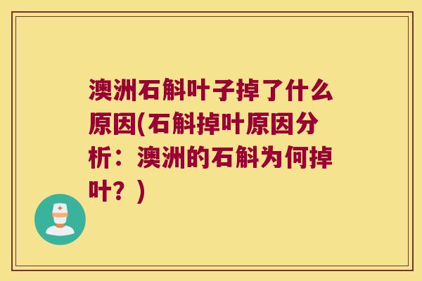 澳洲石斛叶子掉了什么原因(石斛掉叶原因分析：澳洲的石斛为何掉叶？)